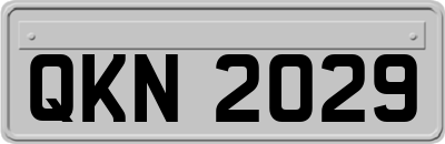 QKN2029