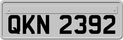 QKN2392