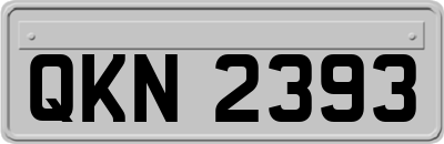 QKN2393