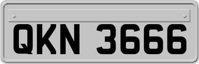 QKN3666