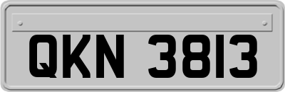 QKN3813