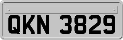 QKN3829