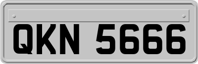 QKN5666