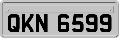 QKN6599