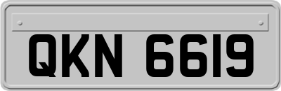QKN6619