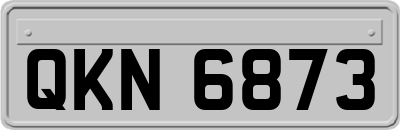 QKN6873