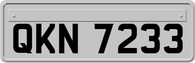 QKN7233
