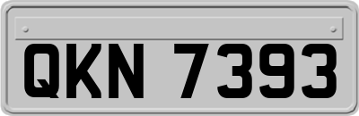 QKN7393