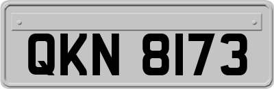 QKN8173