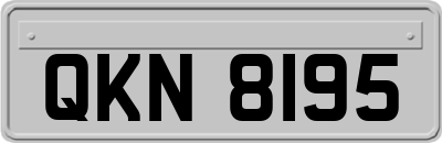 QKN8195
