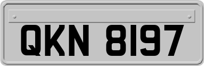 QKN8197