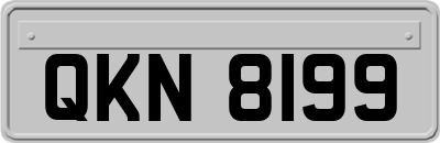 QKN8199