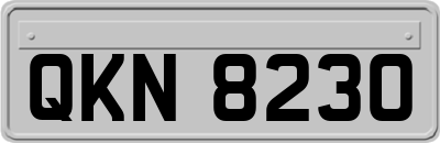 QKN8230