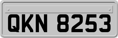 QKN8253