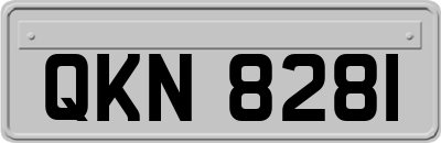 QKN8281