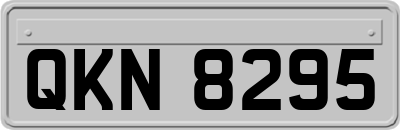 QKN8295