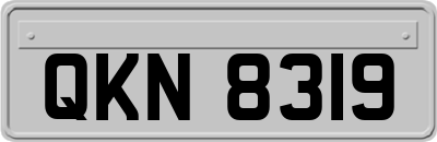 QKN8319