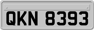 QKN8393