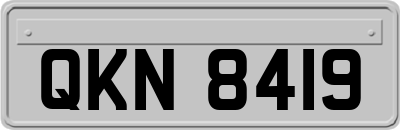 QKN8419