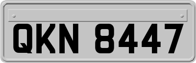 QKN8447