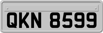 QKN8599