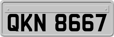 QKN8667