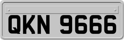 QKN9666