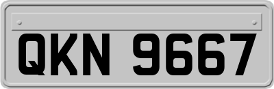 QKN9667