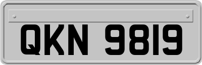 QKN9819