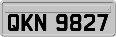 QKN9827