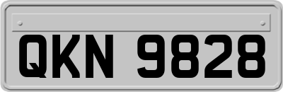 QKN9828