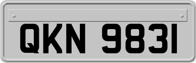 QKN9831
