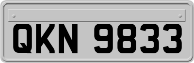 QKN9833