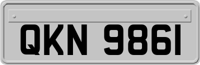 QKN9861