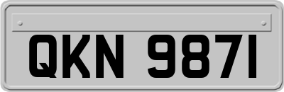 QKN9871