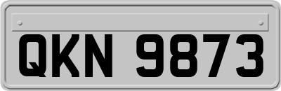 QKN9873