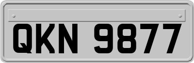 QKN9877