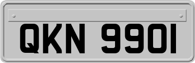 QKN9901