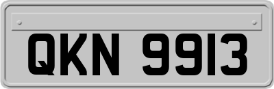 QKN9913