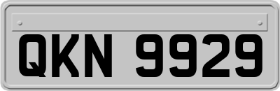 QKN9929