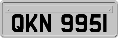 QKN9951