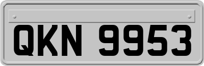 QKN9953
