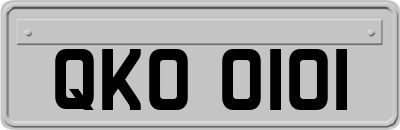 QKO0101