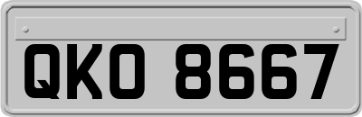 QKO8667