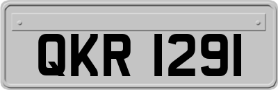 QKR1291