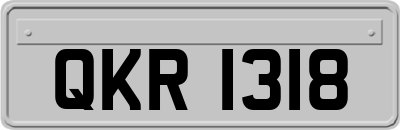QKR1318