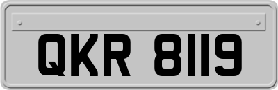 QKR8119