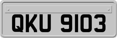 QKU9103