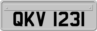 QKV1231
