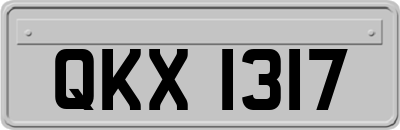 QKX1317